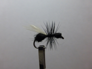 Size 14  Flying Ant Black  Barbless